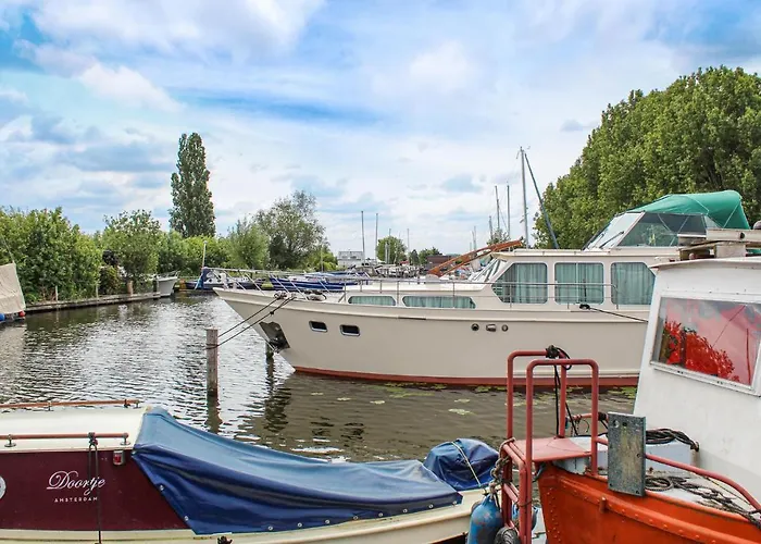 Nr 1 אתר קמפינג